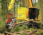 Tracked Harvester breaking up tree